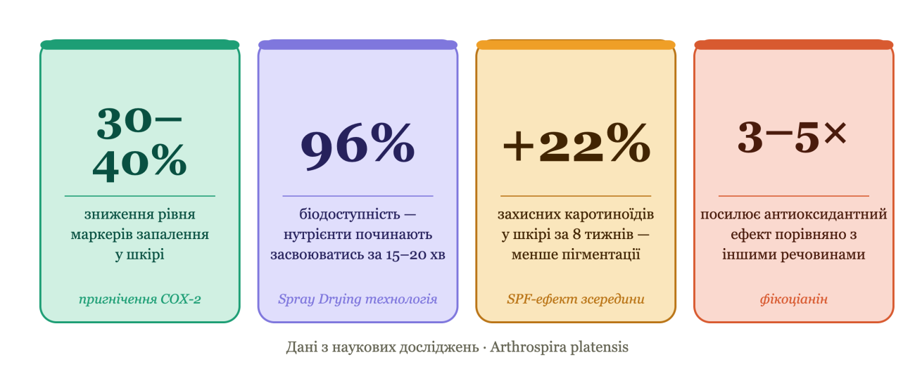 Спіруліна проти акне та старіння: що кажуть наукові дослідження? 3 Ілюстрація 3
